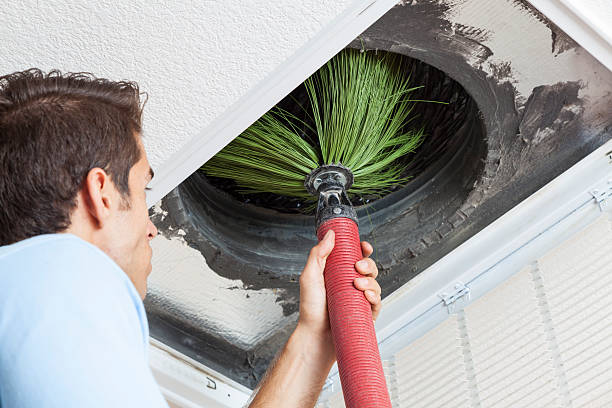 Best HVAC Maintenance and Cleaning  in Bushnell, IL